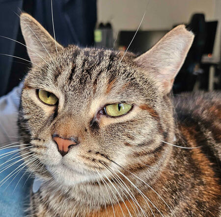 Juno!